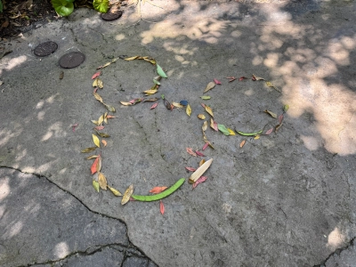 A Hidden Mickey located in the queue for the 'It's Tough to be a Bug!' show at Animal Kingdom in Disney World. Fallen leaves outline the shape of the classic Mickey Mouse logo: two circular ears positioned at the top-left and top-right of a larger circular head in the middle.